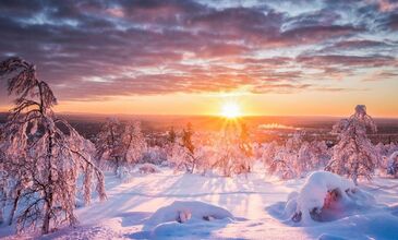 * TÜM TURLAR DAHİL * - BÜYÜLEYİCİ KUZEY IŞIKLARI & LAPLAND - THY - 2026	