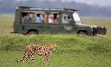 * VİZESİZ * - MUHTEŞEM GÜNEY AFRİKA - THY - 2026